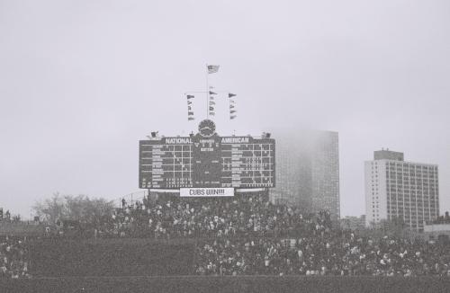 Cubs Win!